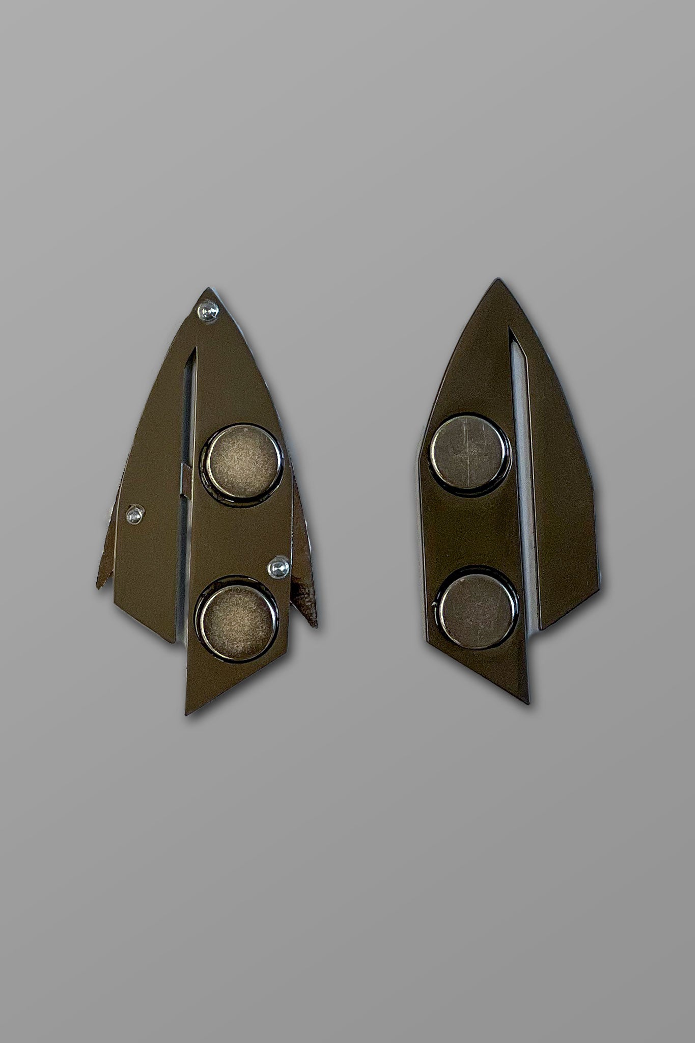 Star Trek: Picard Badge